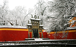 走出省門取真經(jīng)，開拓市場謀發(fā)展——黔、豫、藏、深四省市學(xué)校文化建設(shè)考察學(xué)習(xí)